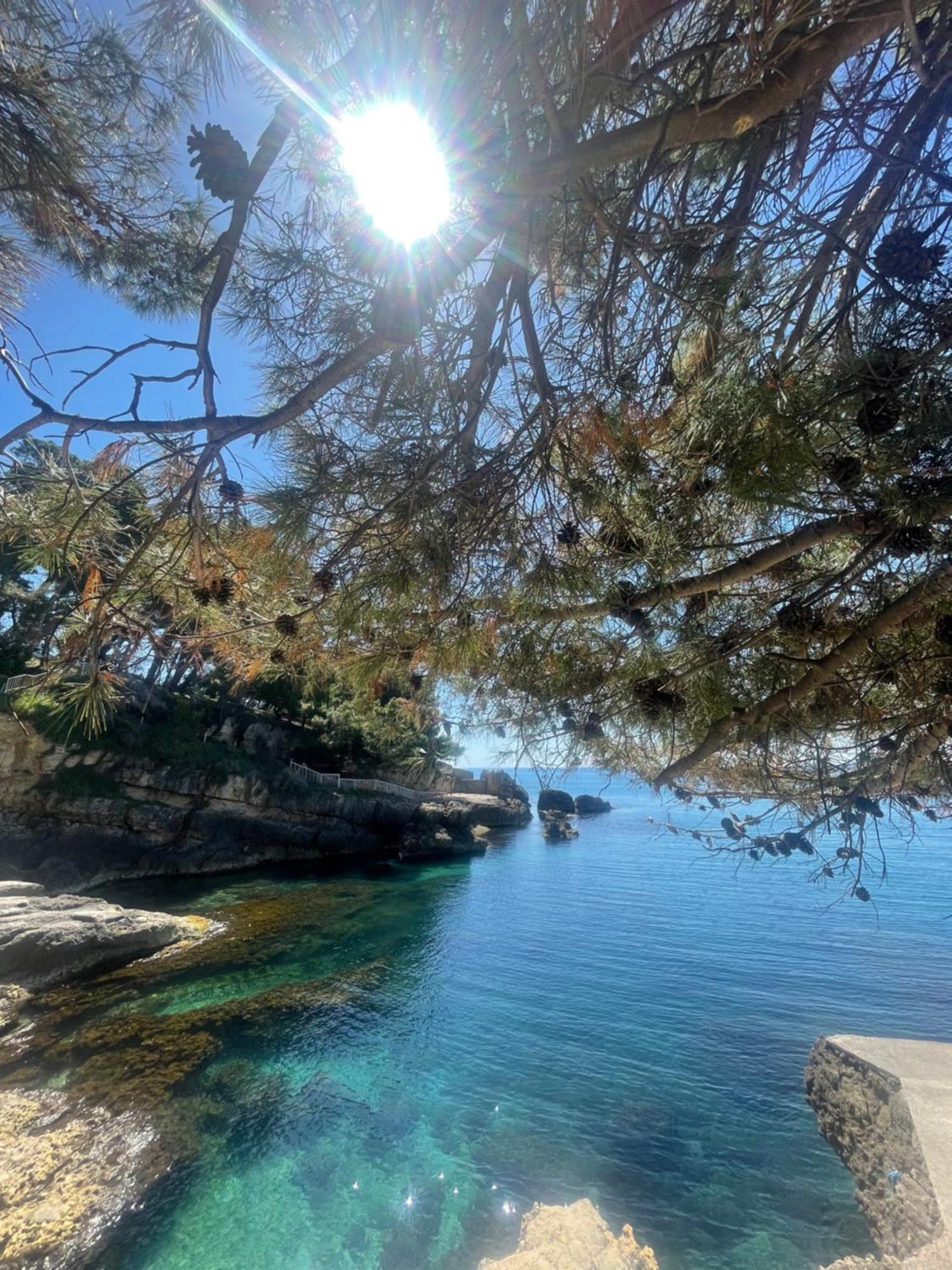Corpus A - Hotel Albatros Ulcinj Bagian luar foto